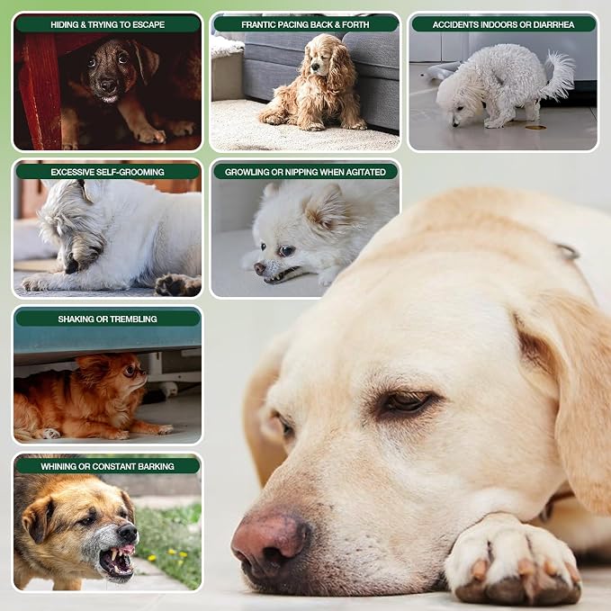 Calming Chews for Dogs, Soft Chews Treats Helps with Anxiеty Rеlief, Separation, Barking, Fireworks, Travel, Composure, Travel
