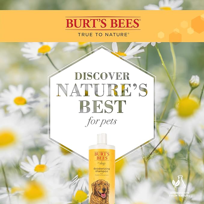 Burt's Bees for Pets Tear Stain Remover for Dogs with Chamomile, 99.9% Natural Origin Formula, Gently Cleanses Eye Area and Removes Debris, Safe for Dogs and Puppies, Cruelty-Free, 4 Fl Oz - 24 Pack