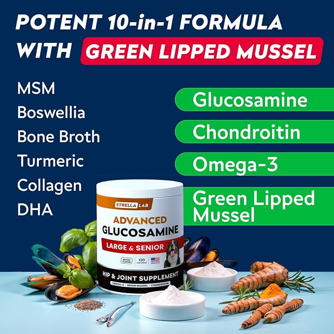 STRELLALAB Advanced Glucosamine Hip & Joint Supplement for Senior Dogs & Horses - Green Lipped Mussel & Collagen - Hip & Joint Pain Relief - Large & Small Breed - Joint Health - 120 Chews