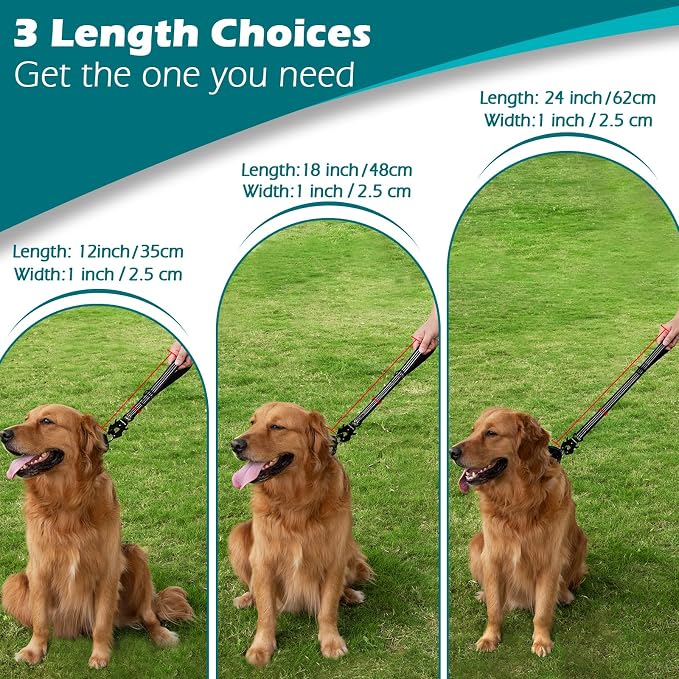 PetBonus Heavy Duty 24 Inch Short Dog Leash and 2-Pack Silicone Collapsible Dog Bowls