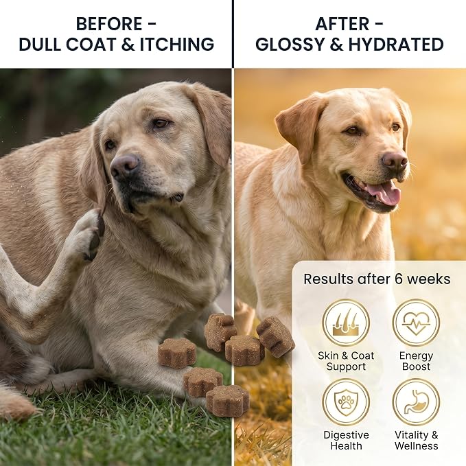 Dog Allergy Chews, Multivitamin Itch Relief Chews for Dog, Beef Flavor | With Salmon Oil, Chondroitin & Natural Vitamins, Skin and Coat Healthy, Digestive & Boost Immunity, 60 Soft Chews