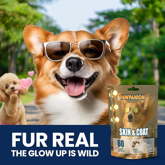 Skin & Coat Soft Chews for Dogs Anti Shedding Formula 60 Count
