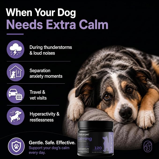 Calming Chews for Dogs – Natural Support for Dog Anxiety, Stress & Relaxation with L-Theanine, Chamomile & Melatonin – Chicken Flavor – 120 Soft Chews