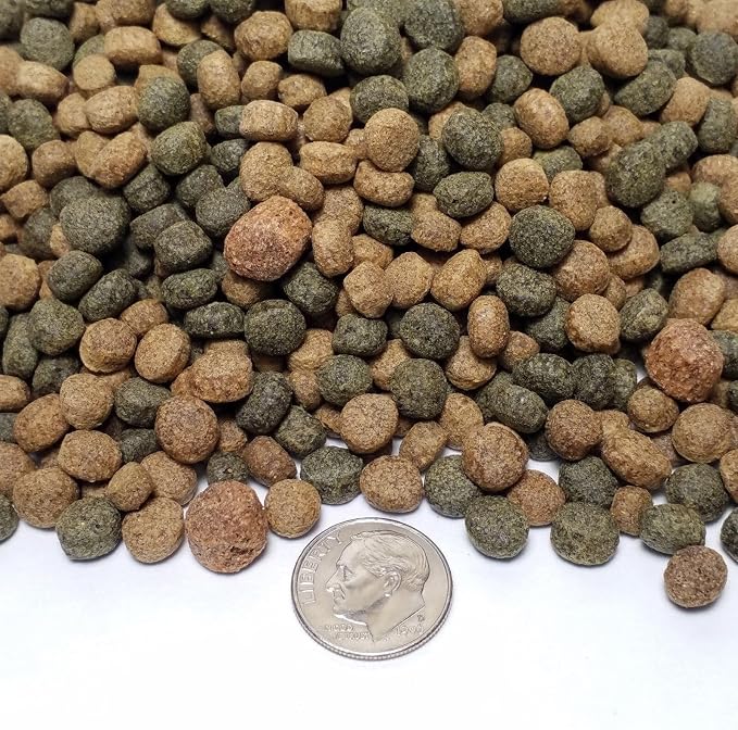 4-Type Mix 6mm - 1/4" Silkworm Color Glossing, Wheat Germ, Intense Color Enhancing, Intense GRO Floating Pellets for Koi & Pond Fish KGM-250-20-lbs