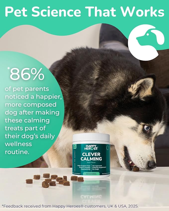 Clever Calming Chews for Dogs, 100% Natural Dog Supplement, For Anxiety Relief, Helps Stress, Fear, Hyperactivity, Reactivity, Beef Flavor Calming Dog Treats, Made in USA, 60 Soft Chews