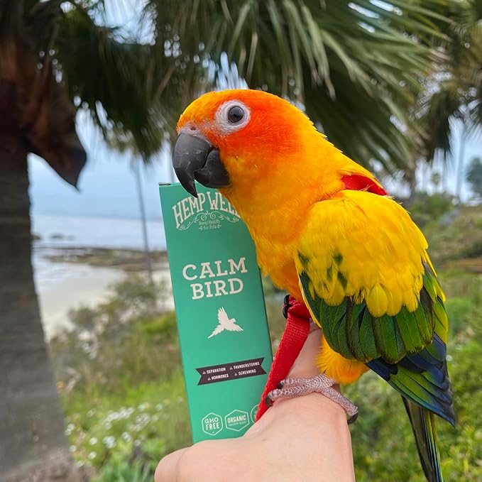 Hemp Well Calm Bird Oil, Organic Hemp, Stress, Hormones & Plucking Support