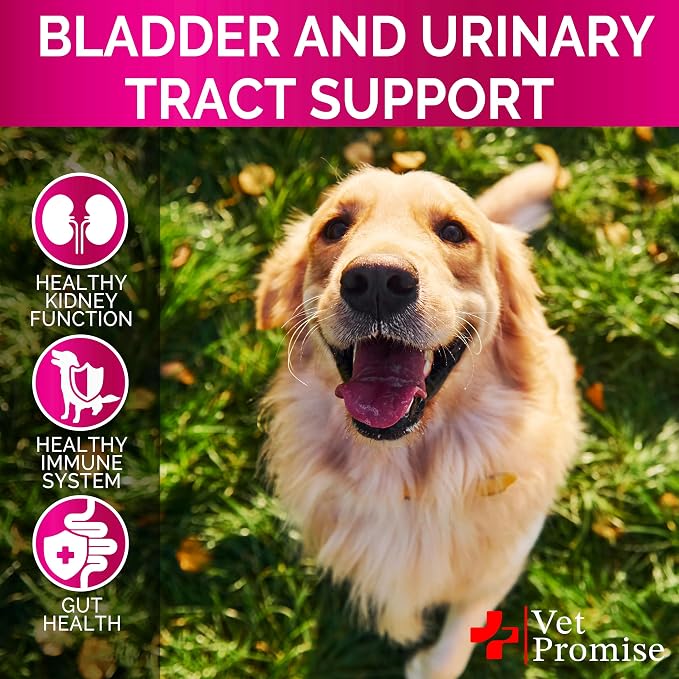 Dog UTI Chews - Advanced Cranberry Supplement for Dogs - Bladder Control - Urinary Tract Support - Cranberry Supplement Vitamins Multivitamin Chews - Made in USA
