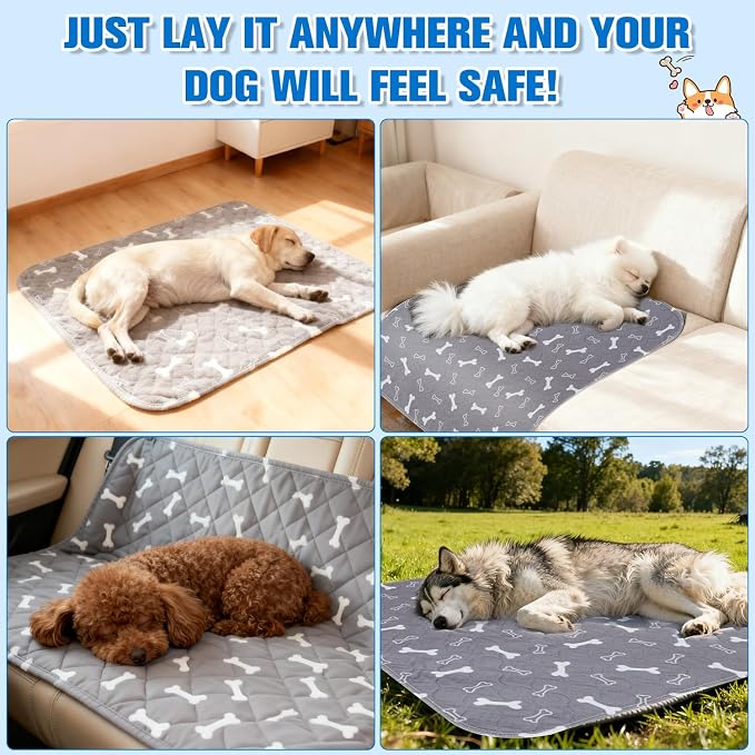 2 Pack Puppy Pads with Pheromones,Washable Puppy Pads for Dogs,Leak-Proof & Anti-Slip,Reusable Absorbent Dog Training Pad for for Playpen,Whelping Box,Potty Training (15.7" × 23.6")
