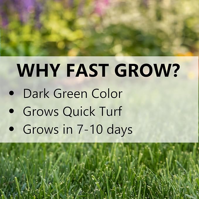 Jonathan Green (10840) Fast Grow Grass Seed - Cool Season Lawn Seed (7 lb)