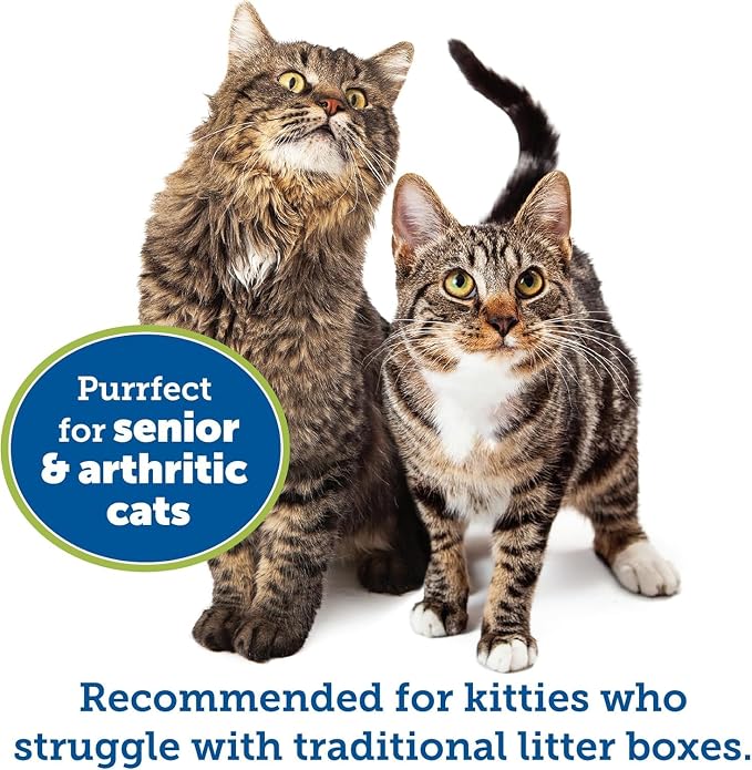 KittyGoHere Senior Cat Litter Box 2 Pack, Small Storybook Lavender Low Entrance Kitty Litter Box Sized for Cats Comfort, Perfect for Senior & Arthritic Cats, Made in USA