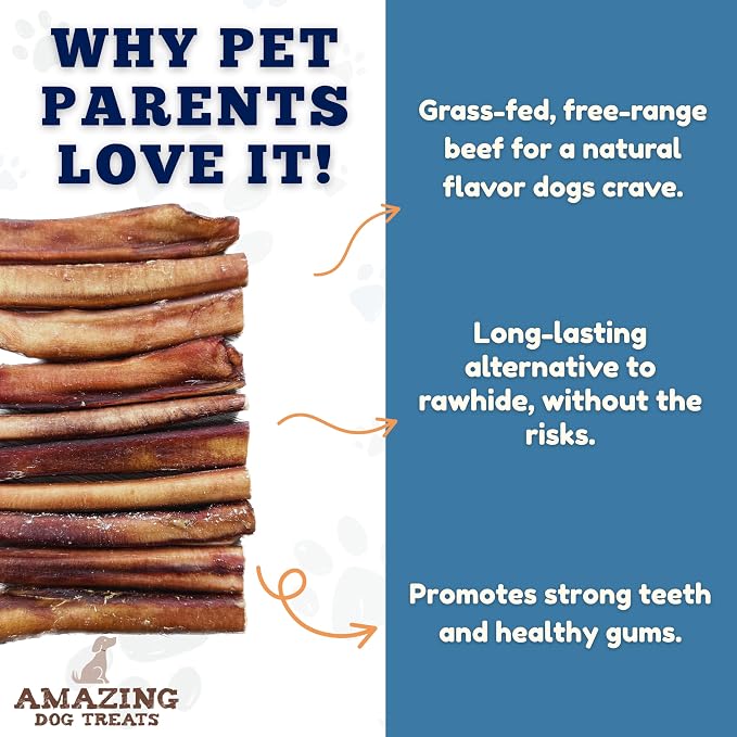 Amazing Dog Treats Bully Stick for Dogs (Extra Thick/Jumbo 6 Inch - 6 Count) - Long Lasting, Safe Chews