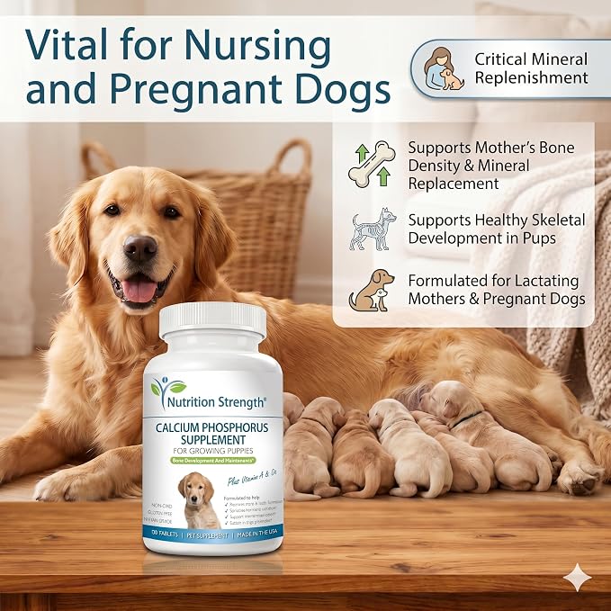 Calcium Phosphorus for Dogs Supplement, Provide Calcium for Puppies, Promote Healthy Dog Bones and Puppy Growth Rate, Dog Bone Supplement, 120 Chewable Tablets