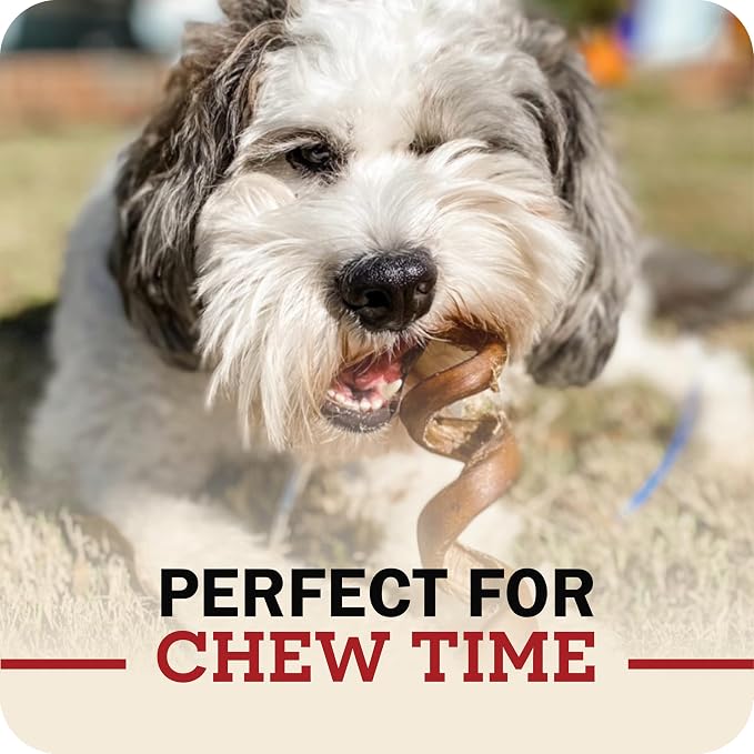 Redbarn Bully Spring Dog Chews 4"-6" 3-Count- 100% Natural Single Ingredient Beef Pizzle Spiral Sticks for Medium to Large Dogs - Rawhide Free Long Lasting Dental Chews