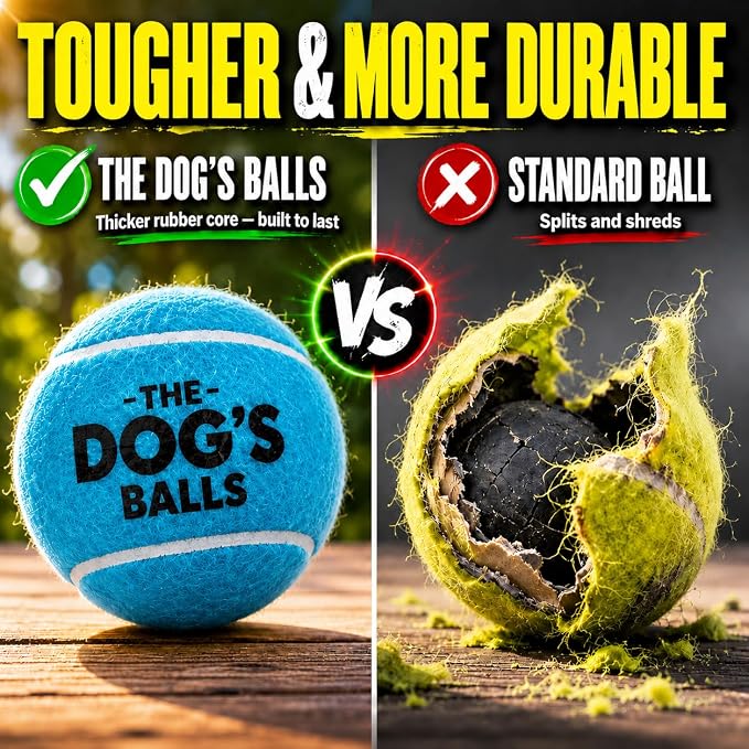 The Dog's Balls Dog Tennis Balls Tough 2.5" 12-Pack Blue Floats in Water | Our fetch balls combine non-abrasive felt exterior and a thicker rubber core Durable Dog Toy for Outdoor Play & Training