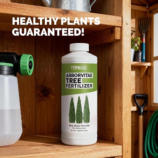 Arborvitae Tree Fertilizer – Liquid Plant Food for Fuller Green Foliage, Faster Growth & Stronger Root Development, 32 oz