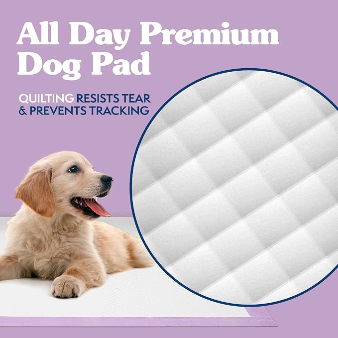 Simple Solution All Day Pee Pads for Dogs, Puppy Potty Training, Leak Proof Dog Pads, Pet Pee Pad, Disposable Puppy Pad, Lavender Scent, LARGE 23"x24", 100 Count