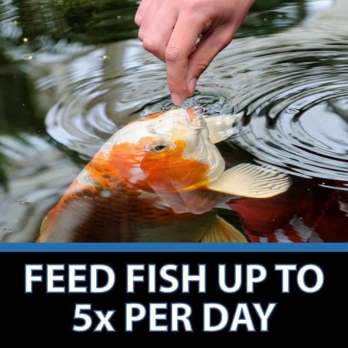 CrystalClear Staple Pond Fish Food for Healthy Koi & Goldfish, Protein Packed Floating Pellets for Summer Nutrition, Easy Digestion, 2.2 Pound Bag