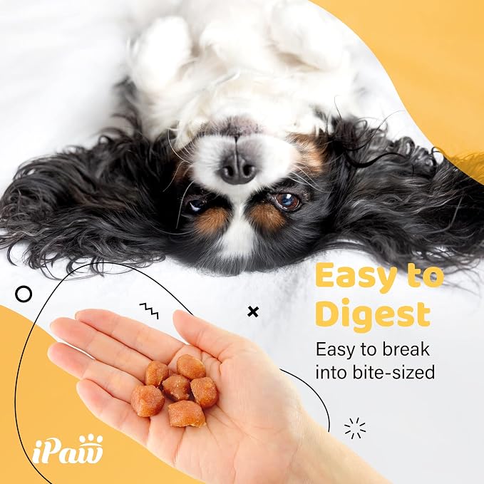 iPaw 3 Value Combo Turkey Tots Dog Treats for Puppy Training, SQF Certified Human Grade Dog Treat, US Sourced Raw Material, Hypoallergenic, Easy to Digest (Turkey Tots),3 Packs