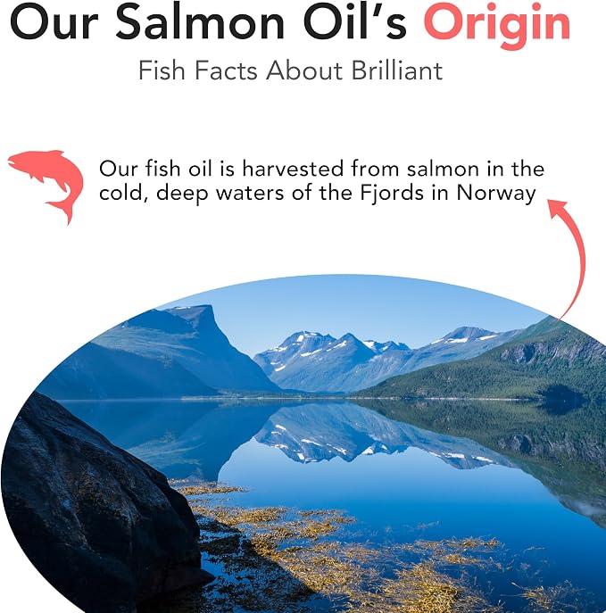 Brilliant Norwegian Salmon Oil for Dogs, Cats, Horse, Ferret - Pure Omega 3, 6 & 9 Fish Oil Food Treats Supplement for Natural Coat, Immune Support, Itchy Skin, Joint & Brain Health - 40 Oz