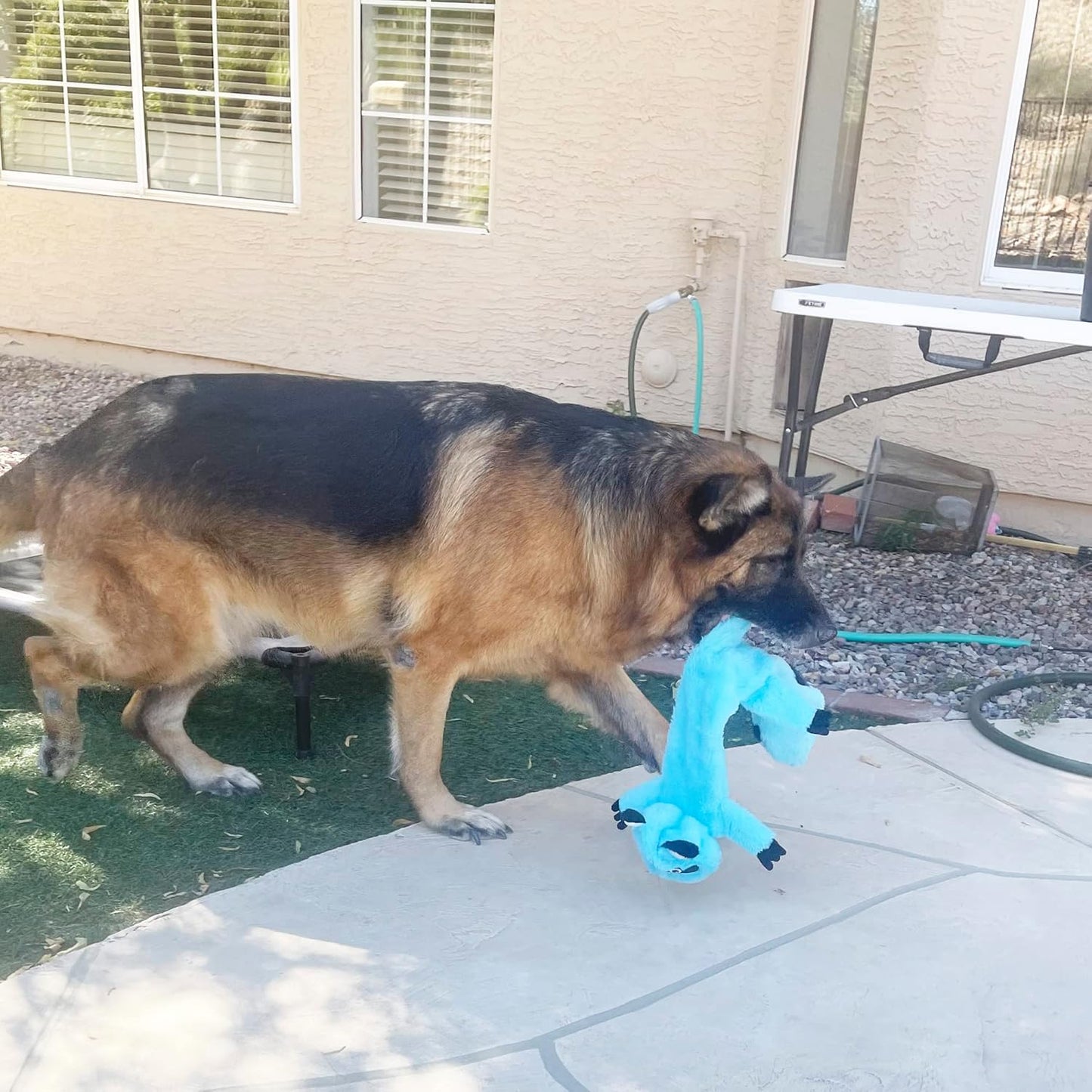 Jalousie 5 Pack Stuffingless Dog Squeaky Toys Dog Toy w/Durable Liner No Stuffing Dog Toy - Dog Toys Crinkle Paper Squeaker Toy for Medium Large Dogs (5 Pack - Extra-Large - Premium Furrrr)