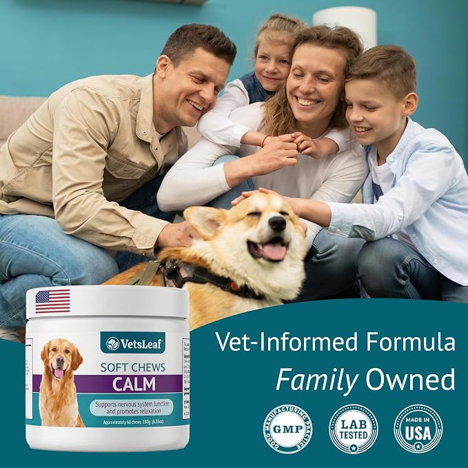 Calming Chews for Dogs - Dog Anxiety Relief and Calming Sleep Support with Theanine, Lemon Balm, Taurine & Inositol - Fireworks, Thunderstorms & Separation Anxiety - Made in USA - 60 Count