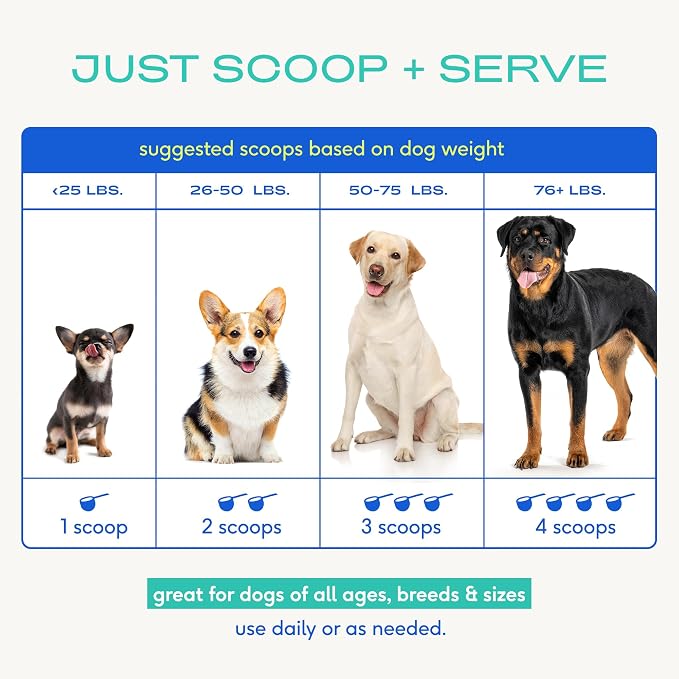 Native Pet Colostrum for Dogs - Bovine Colostrum Powder - Dog Allergy Relief, Itchy Skin Relief, Immune Support & Gut Health - 100% Single-Ingredient Supplement with Bioactive Nutrients - 120 Scoops