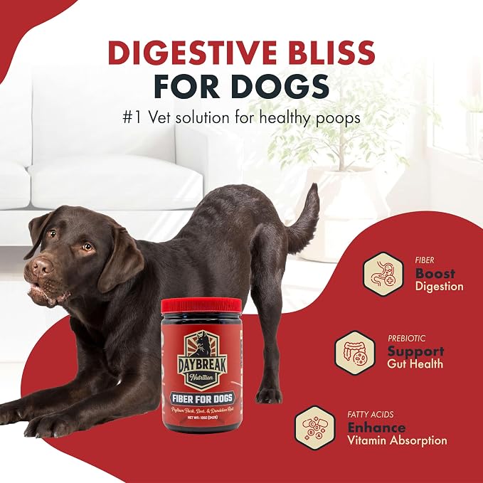 Daybreak Nutrition Fiber for Dogs Psyllium Husk, Beet Root, Dandelion Root, and Prebiotics to Aid in Relief from Diarrhea, Constipation, Anal Gland Issues, and Scoots