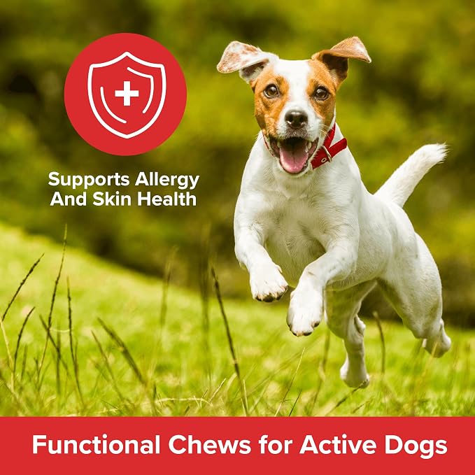 PLATO Pet Treats Air-Dried Wellness Chews for Dogs – Functional Dog Chews – Supports Skin Health & Allergy Relief – Salmon Oil, Colostrum & Quercetin Recipe 16oz