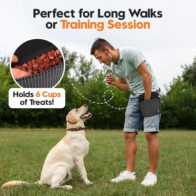 Dog Training Treat Pouch, Magnetic Treat Fanny Pack for Walking, Crossbody Dog Walking Bag with Poop Bag Dispenser, Clicker & Collapsible Bowl - Black