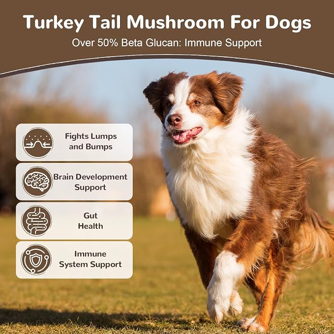 Turkey Tail Mushroom Powder for Dogs, Organic 10 Mushroom Blend for Lipoma Lumps and Bumps, Dog & Cat Herbal Supplements Probiotic with 50% β-Glucan, Joint Gut Immune Skin Support - 60g