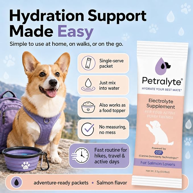Dog Electrolytes and Joint Supplement | Glucosamine, Chondroitin & MSM for Inflammation and Mobility Support | Electrolytes for Dogs with Prebiotics | Salmon Lovers | 16 Packets