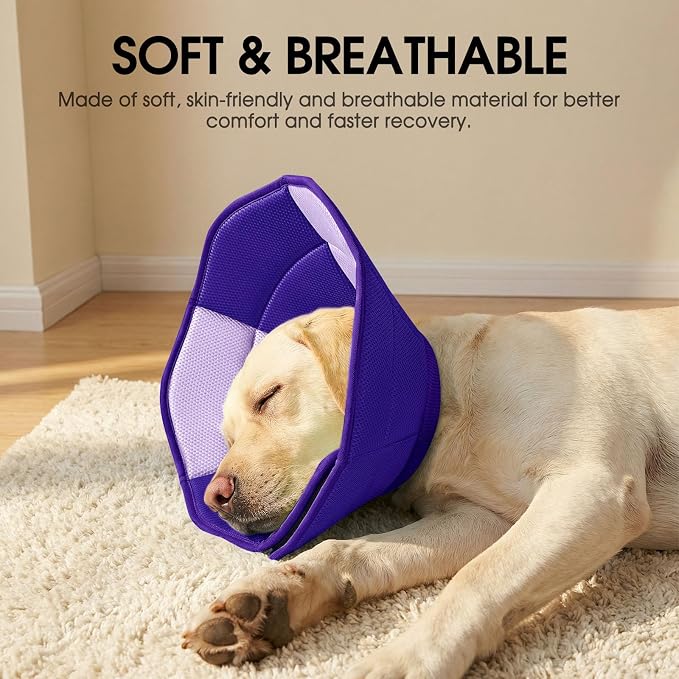 Dog Cone - Soft Cone for Dogs to Stop Licking, Pet E-Collar Alternative After Surgery, Adjustable Pet Recovery Collar for Wound Healing, Purple Large