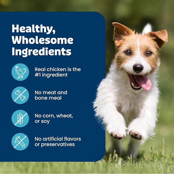 Blue Buffalo Bits Beef Soft & Chewy Dog Treats, Bite-Sized for Training, Made with Real Beef & Enhanced with DHA, Heart-Shaped Dog Treats, Made in the USA with Natural Ingredients, 19 oz.