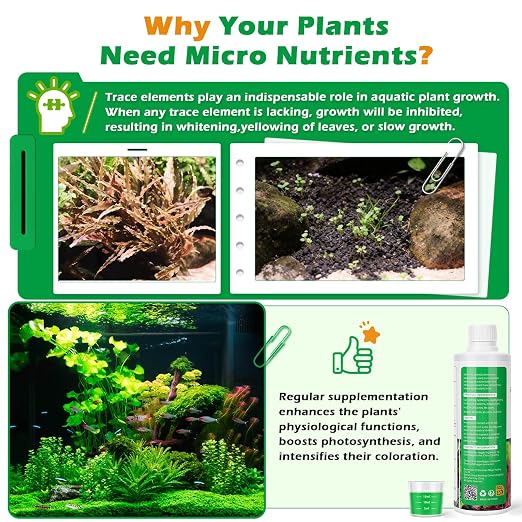 HC035 All-in-One Liquid Aquarium Plant Fertilizer - with Essential Micro & Macro Nutrients for Freshwater Planted Tanks, 150ml/500ml/1000ml (150mL)