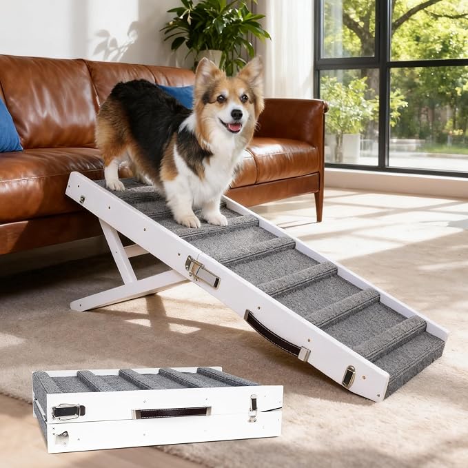 Dog Ramp Dog Stairs for Large Dogs Foldable Dog Ramp with 5 Adjustable Heights from 13.98'' to 27.56" Wood Pet Ramp with Non Slip Carpet Portable Puppy Ramp for Couch, Sofa, Bed, Car (White)