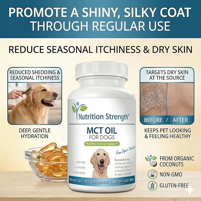 MCT Oil for Dogs from Organic Coconuts - Support Cognitive Function & Energy - Pure C8 & C10 Medium Chain Triglycerides - Boost Immunity & Senior Dog Brain Support, 90 Soft Gels