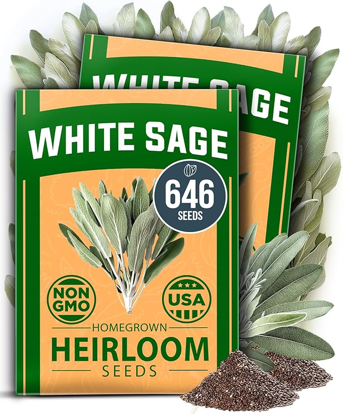 HOME GROWN White Sage Seeds 646 & English Lavender 1,500 & 1 Pound Cat Grass Seeds for Cat & Kittens
