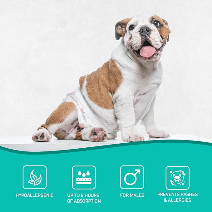 Dog´s Care – Disposable Hygienic Diaper for Male Dogs – Ultra-Absorbent, Comfortable – 6 to 8 Hours Protection – Size M – 21 to 30 inches.– 48 Units