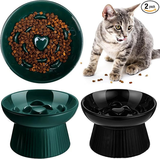 Tioncy 2 Pcs Raised Cat Slow Feeder Bowl Ceramic Elevated Cat Dog Food Bowl No Spill High Edge for Dry Wet Food and Water Easy to Clean, Dishwasher Safe (Dark Green,Black)