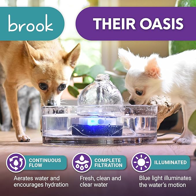 Brook Glass Pet Fountain (90oz/2.7L) – Cat & Dog Water Fountain – Glass Cat Fountain & Automatic Water Dispenser for Drinking