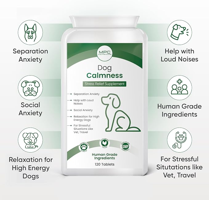 Calming Chews for Dogs – Daily Anxiety & Hyperactivity Support | L-Theanine, Taurine, Magnesium & Ginger | For Separation, Storms, Fireworks & Travel | Chicken Flavor Tablets | UK GMP | 120 Ct