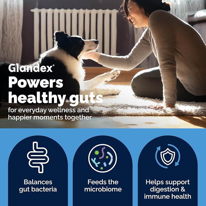 Vetnique Glandex Dog Probiotic Chews, Daily Probiotics for Dogs 5 Strains, Prebiotics & Digestive Enzymes for Gut & Immune Health, Vet Formulated for Occasional Diarrhea (120ct Chews, Proboitic Chews)