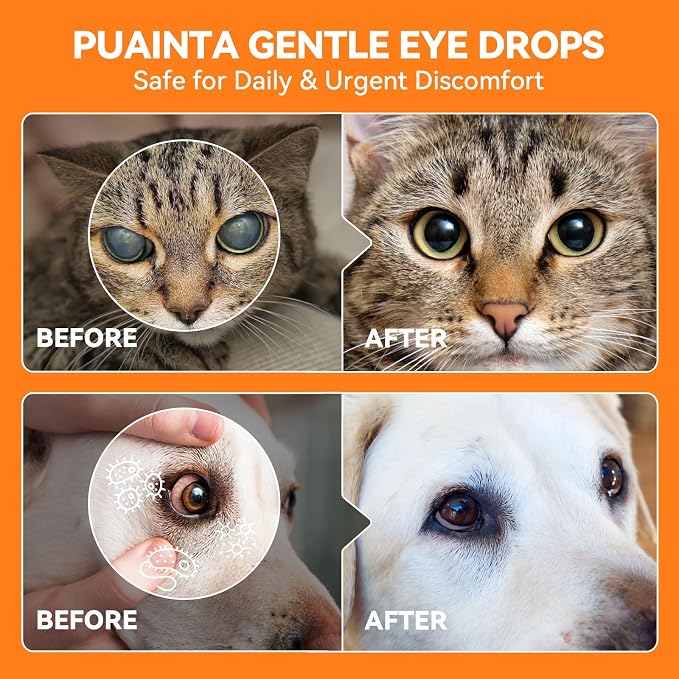 PUAINTA Hot Spot Spray 8oz + Eye Drops 8oz
