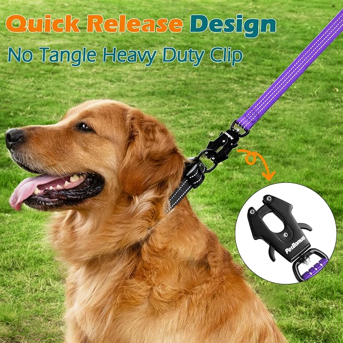 PetBonus Heavy Duty 24 Inch Short Dog Leash and 2-Pack Silicone Collapsible Dog Bowls