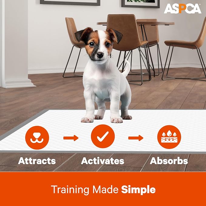 ASPCA Scented Puppy Pads, Dog Training Pee Pads, Absorbent Potty for Dogs, Quick-Drying Leakproof Large with Odor Control (Mountain, 50 Count - (XL 28 x 30))