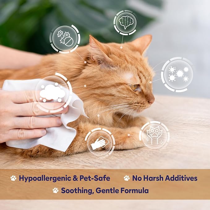 Papilion Pet Wipes for Dogs & Cats, Gentle Grooming & Cleaning Wipes, Safe for Paws, Coat & Face for Daily Use, Paraben-Free, Extra Large All-Purpose Wipes, Flip-Top Pack, 600 Count