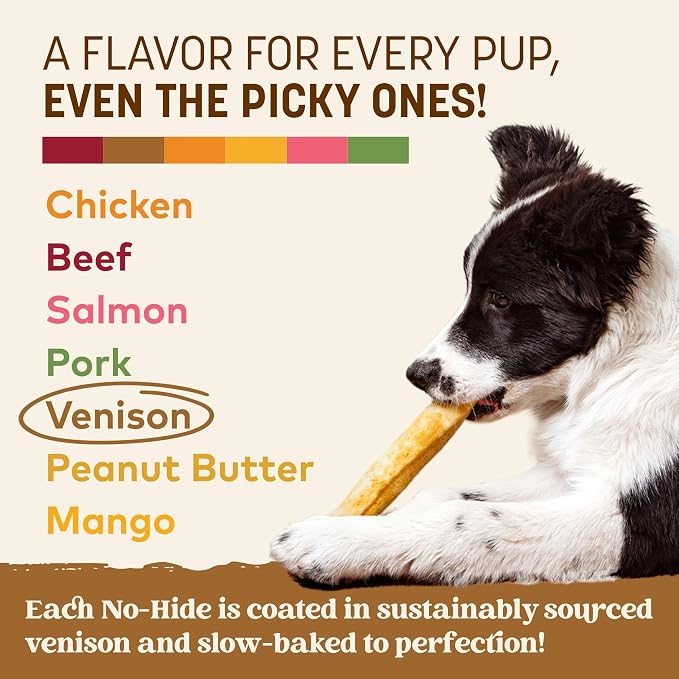 Earth Animal No Hide Chews - Long Lasting Rawhide Free Medium Dog Chews Rolls, Venison - 2 Count