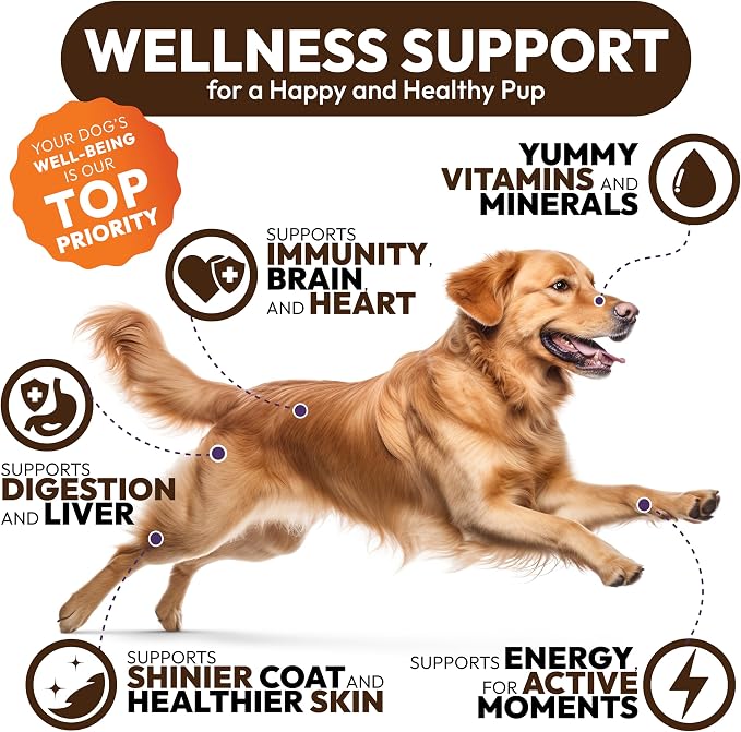 Turkey Tail Mushroom for Dogs - 250 Chews - Lion’s Mane - Shiitake - Reishi - Buddy Immune Support Guard - Lipoma Mushroom Supplement for Dogs Lumps and Bumps Glucosamine, Health Vitamins Multivitamin