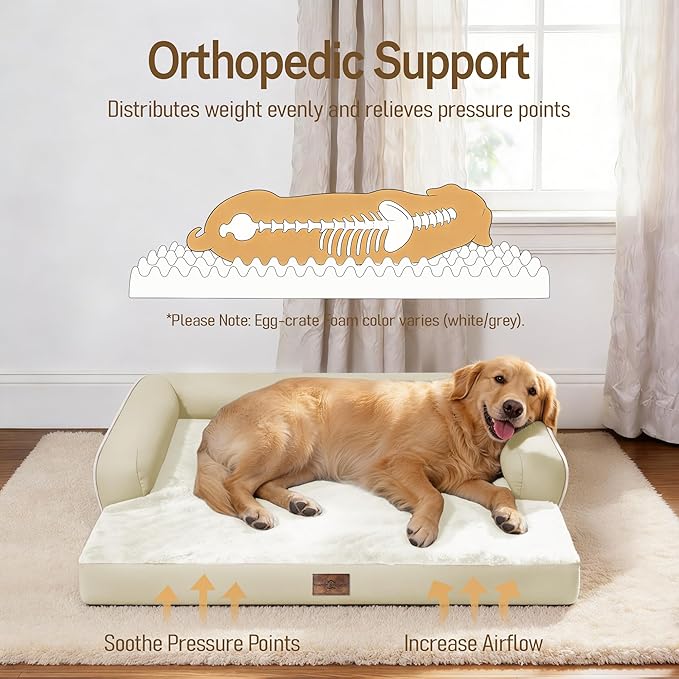 Comfort Expression Memory Foam Large Dog Bed - Waterproof Orthopedic Pet Bed with Washable Removable Cover, Non-Slip Pet Sofa Couch, 36 x 27