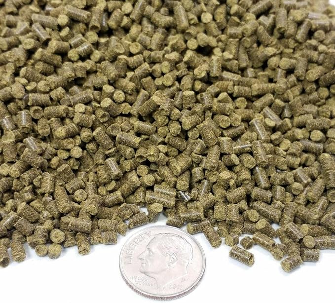 Calcium Blocks Included in These Spirulina Sinking Pellets for Shrimp, Snails, Crabs, Catfish, Plecos for All Tropical Fish 1/16" x 3/8" Pellets by Zeigler.12oz Small Jar
